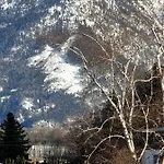 Birke 1 Bad Reichenhall