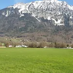 Birke 1