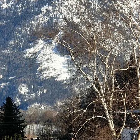 Birke 1 Bad Reichenhall