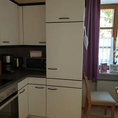 Birke 1 Bad Reichenhall